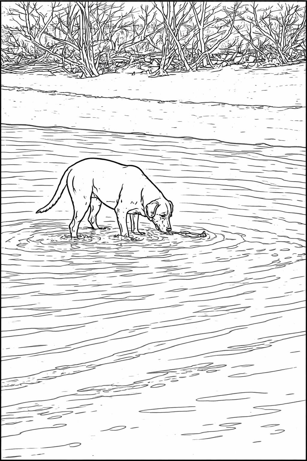 Wading Day