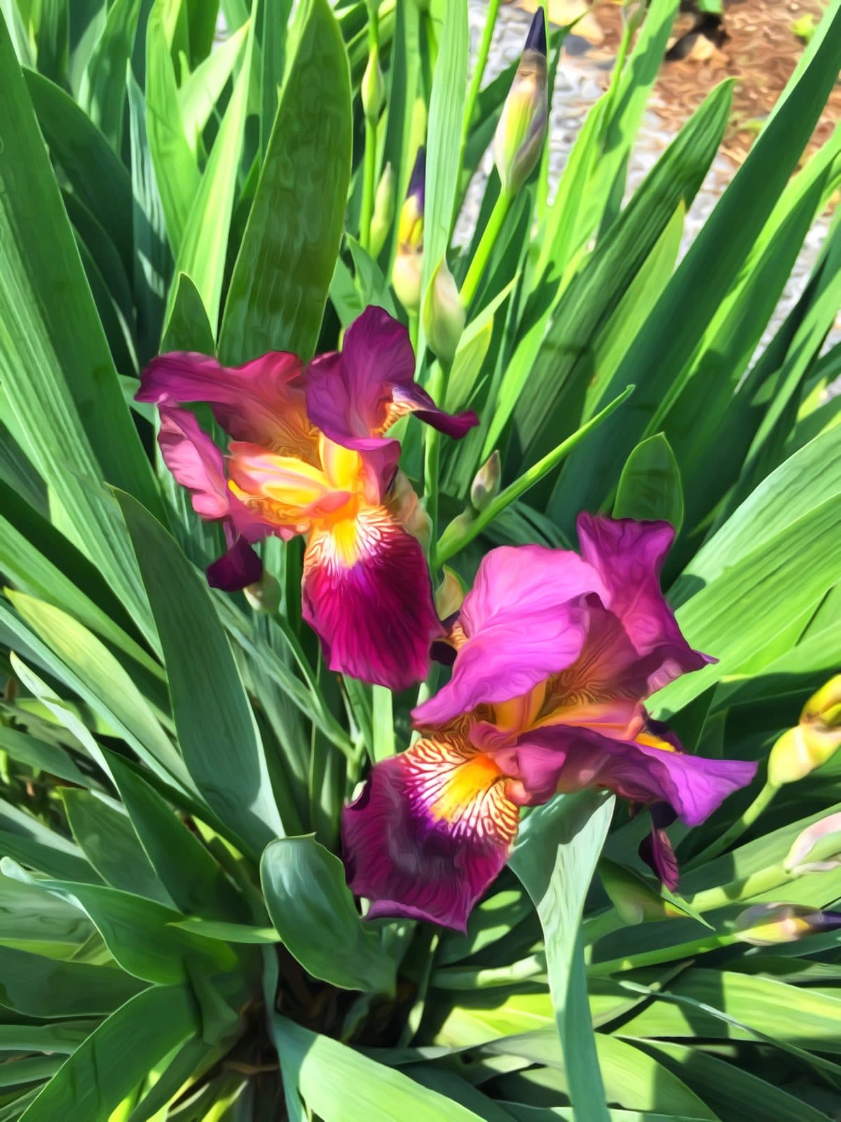 Digital Print 005. Everyday beauty around the pond.