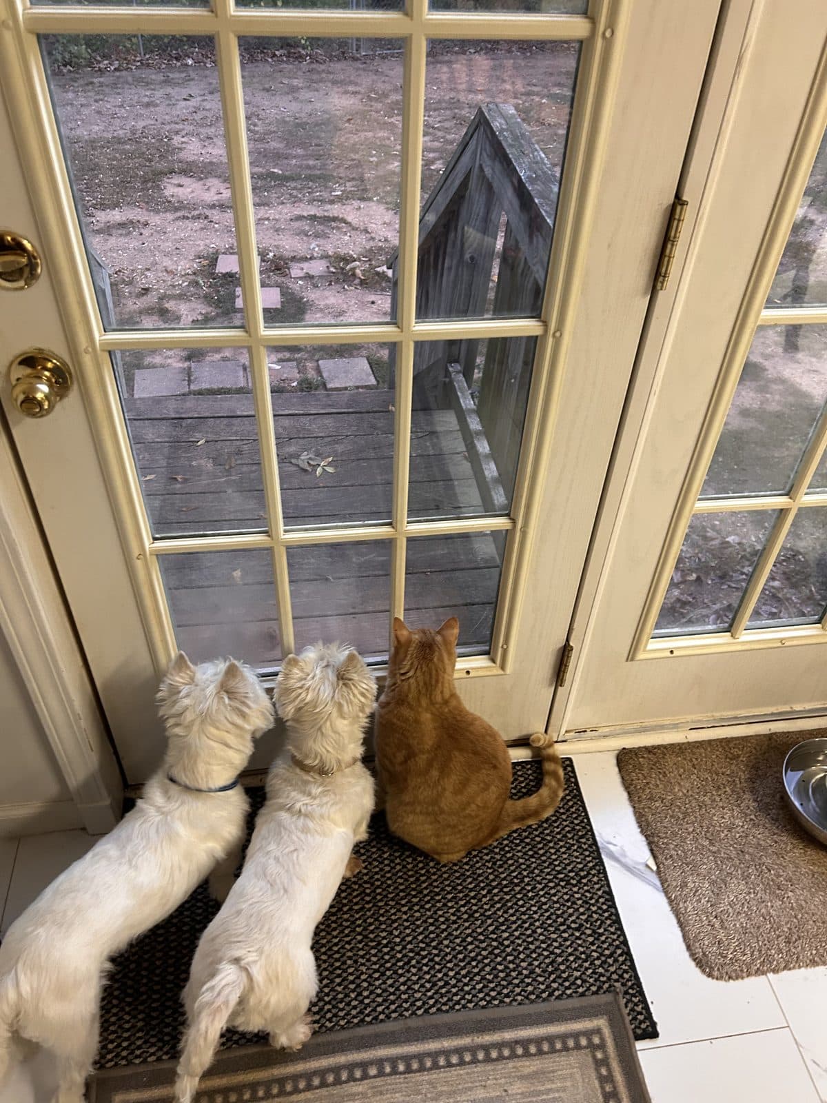 Doorway Friends