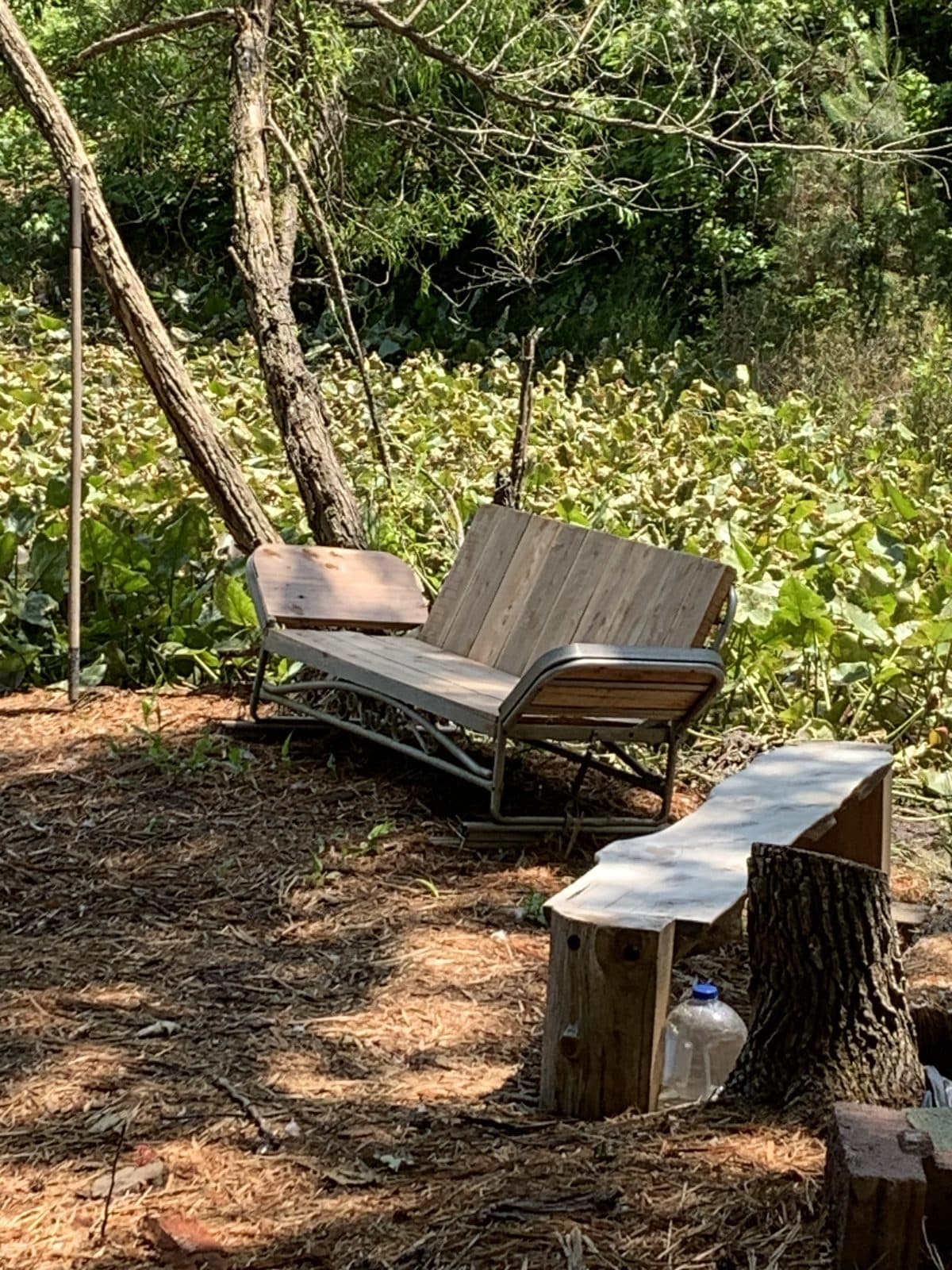 Woodland Bench