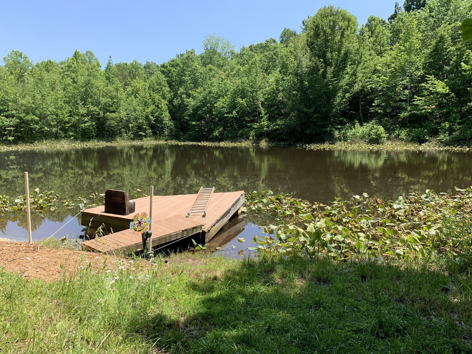 Dock on the Pond