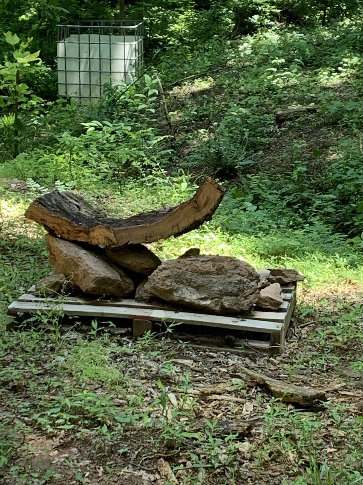 Garden Stones